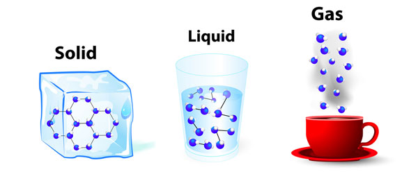 states of matter and intermolecular forces - Grade 6 - Quizizz