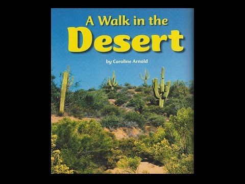 A Walk in the Desert | 368 plays | Quizizz