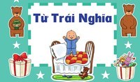 Từ đồng nghĩa và từ trái nghĩa Flashcards - Quizizz