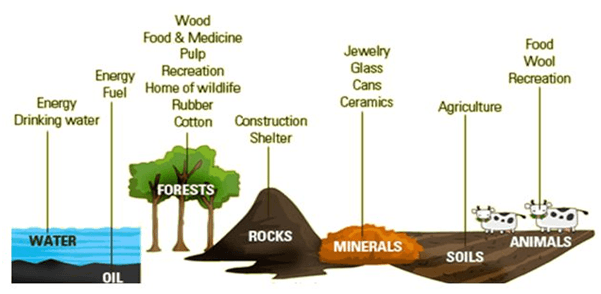 renewable-and-nonrenewable-resources-quizizz