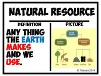 Seleção Natural e Adaptações - Série 5 - Questionário