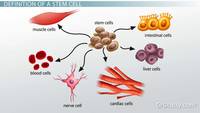 developmental biology - Class 7 - Quizizz