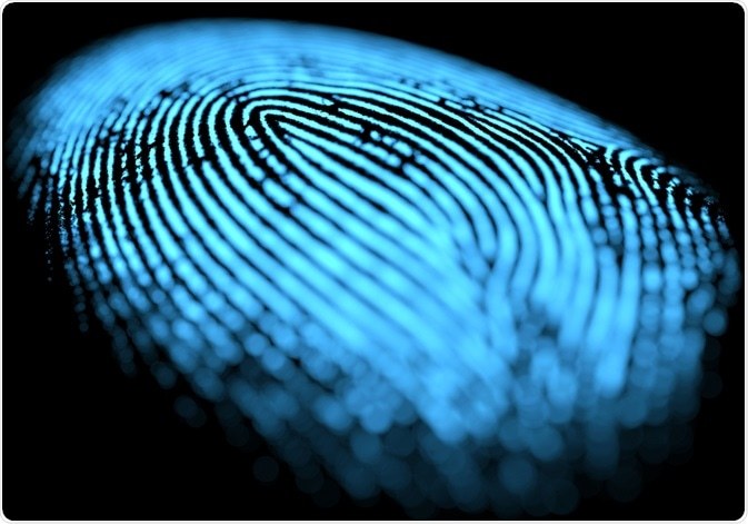 Fingerprint Identification 