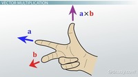 Multiplication and Partial Products - Year 12 - Quizizz