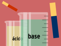 ácidos y bases - Grado 12 - Quizizz