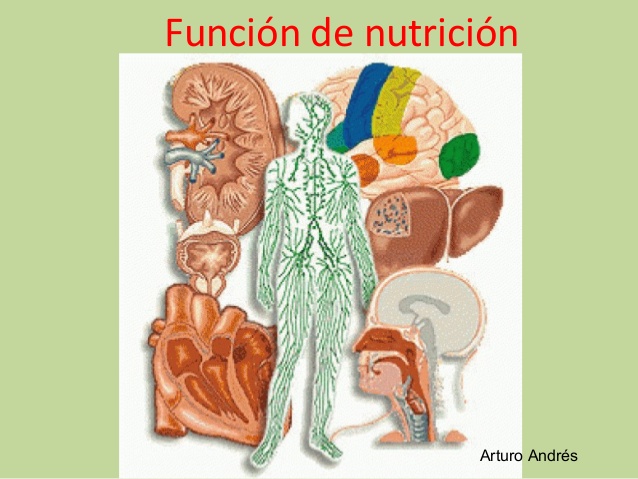 derivadas de funciones exponenciales - Grado 6 - Quizizz