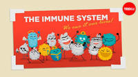 the immune system - Year 4 - Quizizz