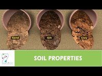 soils - Year 5 - Quizizz