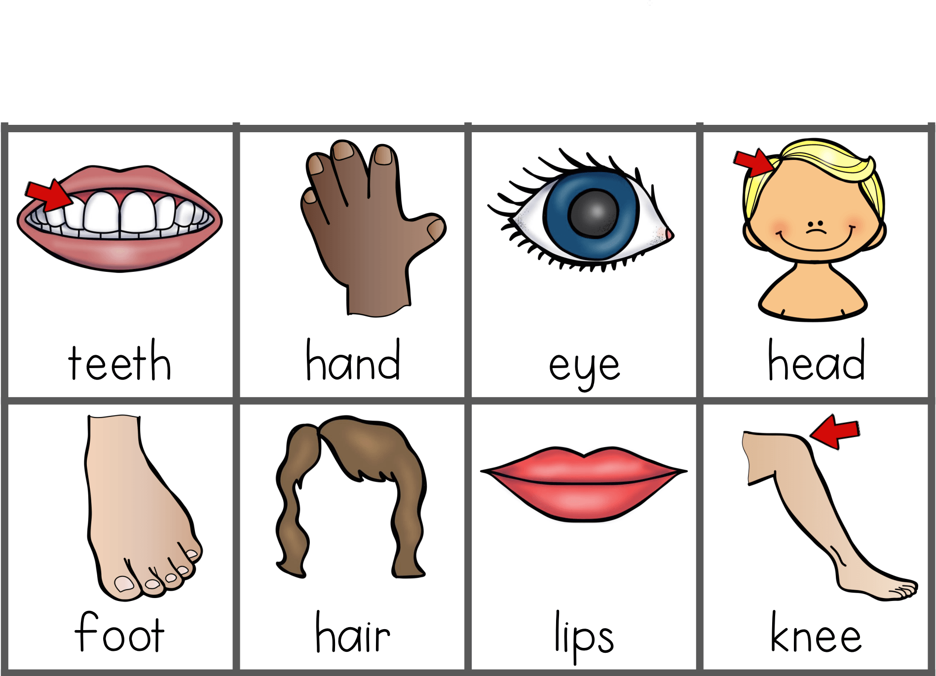 Body Parts Vocabulary Quizizz 8893