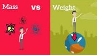 Comparing Weight - Year 10 - Quizizz