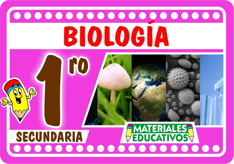 biología vegetal - Grado 1 - Quizizz