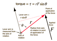 torque and angular momentum - Class 11 - Quizizz