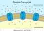 Passive Transport