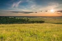 Grasslands Habitat