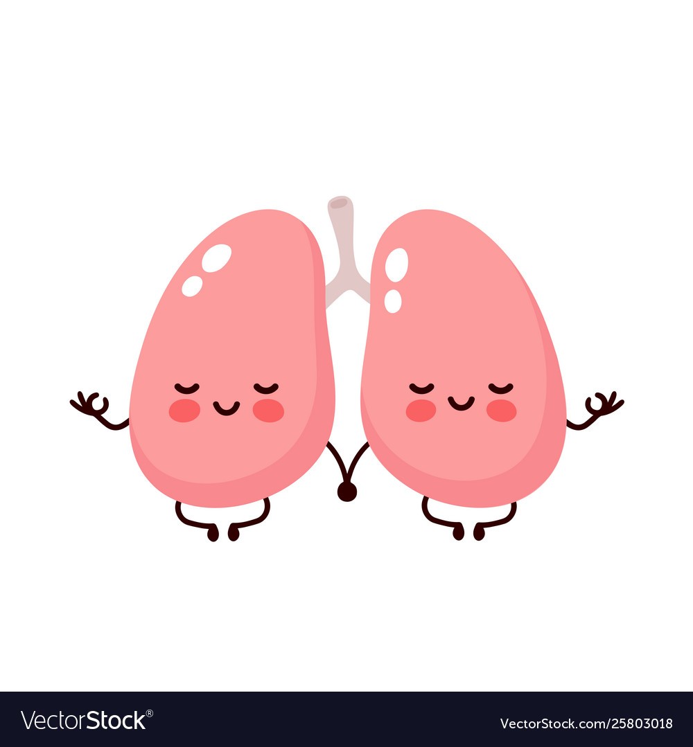 Respiratory System | 50 plays | Quizizz