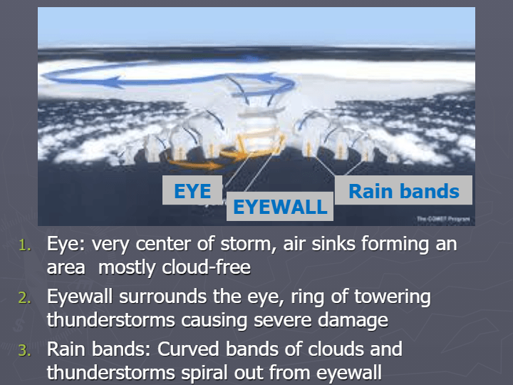 Hurricanes A & Cycles | Biology - Quizizz