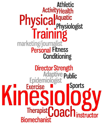 Kinesiology Basics | 151 Plays | Quizizz