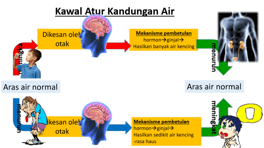 Sains T1 B3 Science Quizizz