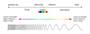 Electromagnetic Spectrum Quiz