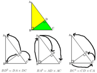 transversal garis sejajar - Kelas 12 - Kuis