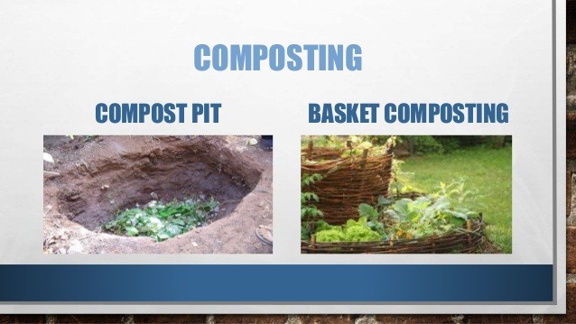 Composting | Science - Quizizz