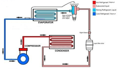 PRE-TEST: Prepare Refrigerant Materials | Quizizz