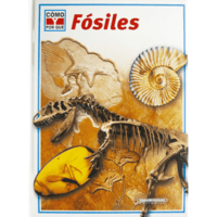 fósiles Tarjetas didácticas - Quizizz