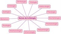 biología del comportamiento - Grado 12 - Quizizz
