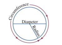 Area and Circumference of a Circle - Year 8 - Quizizz