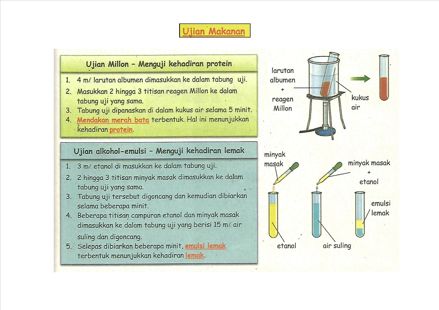 Sains Tingkatan 2 Revisi 1 Science Quizizz