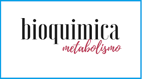 metabolismo - Série 10 - Questionário