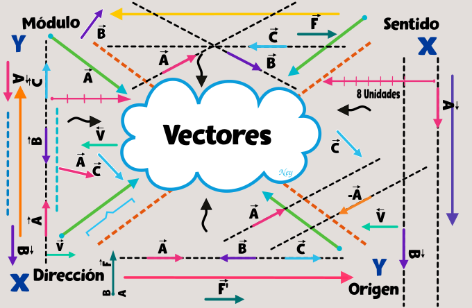 vectores - Grado 9 - Quizizz