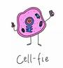 Cells & Cell Theory