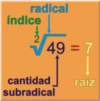 propriedades de quadrados e retângulos - Série 1 - Questionário