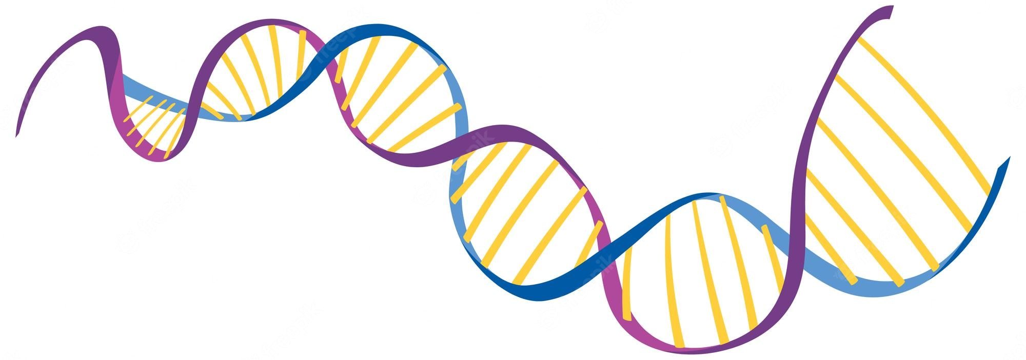 struktura i liczba chromosomów - Klasa 10 - Quiz