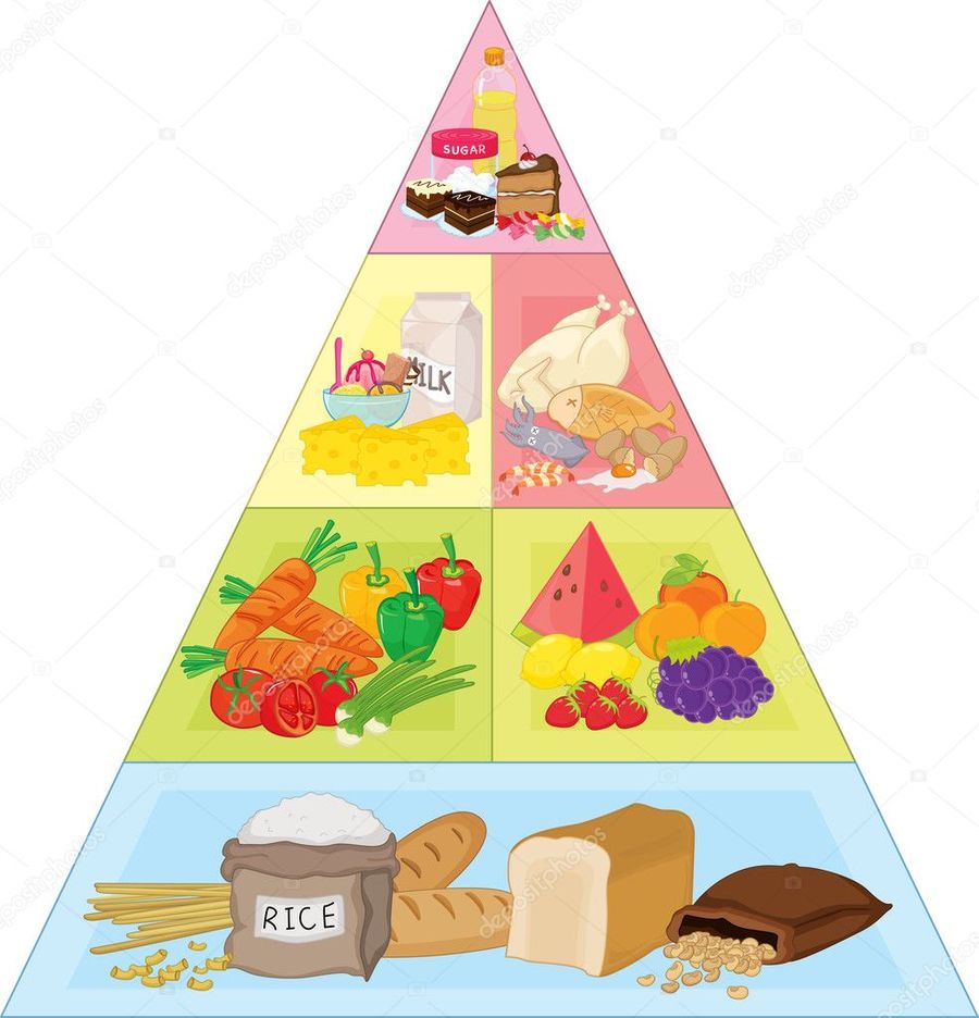 Food Pyramid English Quizizz