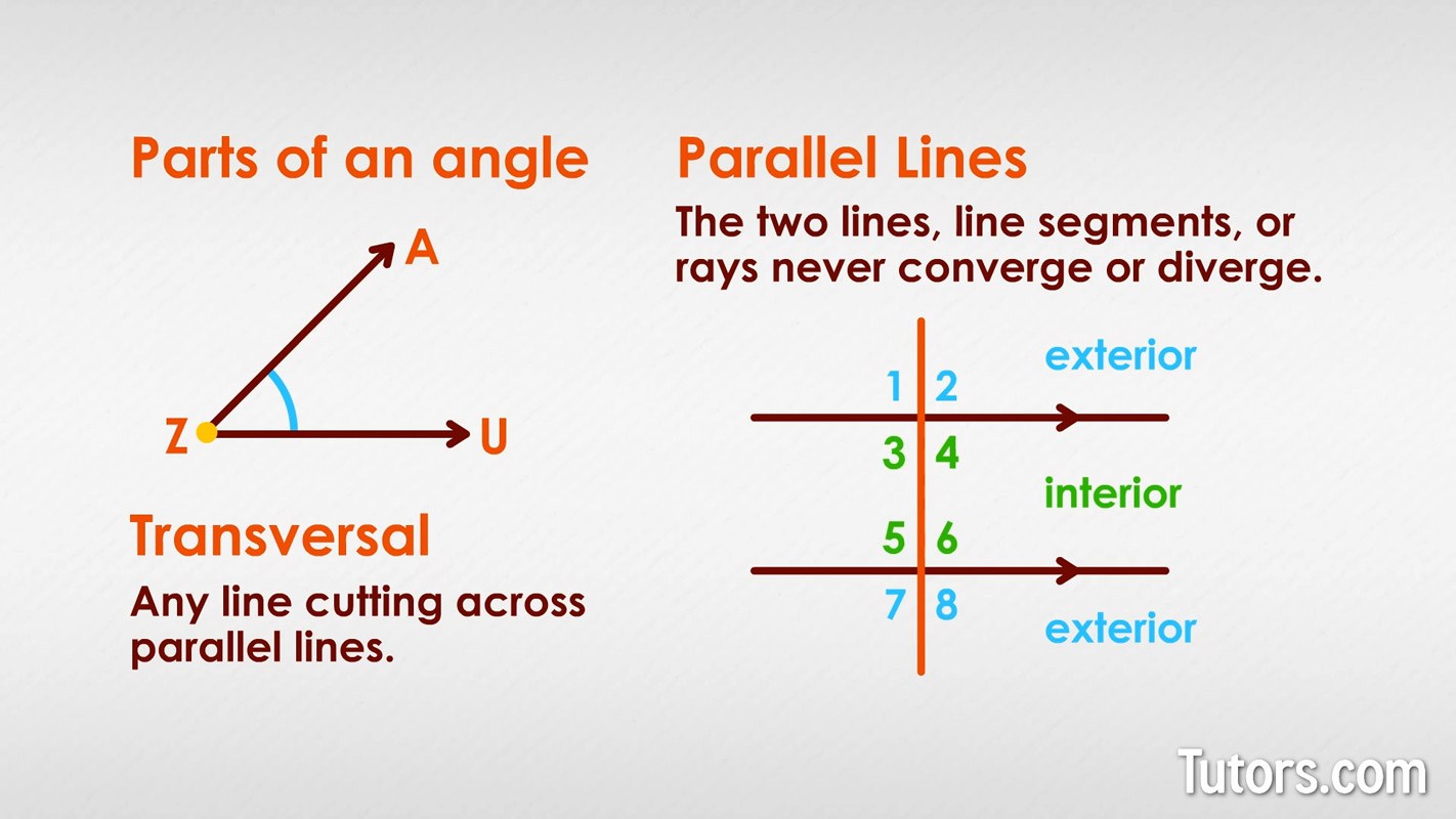 angle side relationships in triangles - Year 6 - Quizizz