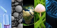 biología vegetal - Grado 9 - Quizizz