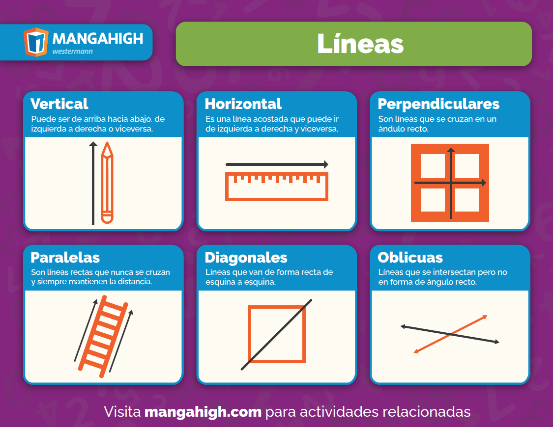 Líneas de simetría Tarjetas didácticas - Quizizz