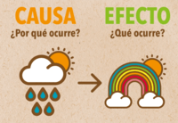 Causa y efecto - Grado 4 - Quizizz