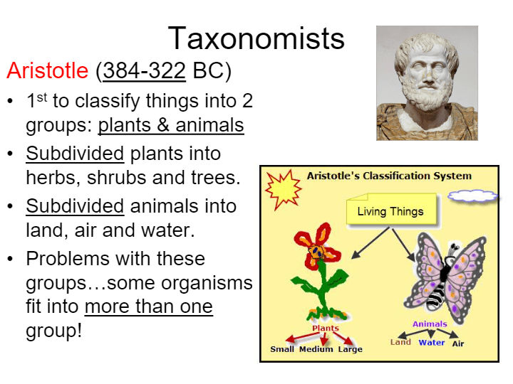 Unit 9 Taxonomy Intro | Biology - Quizizz