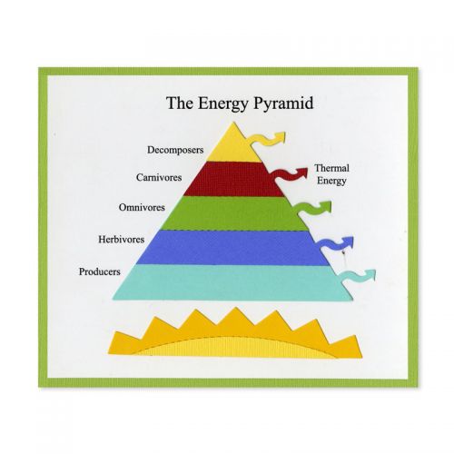 Energy - Class 4 - Quizizz