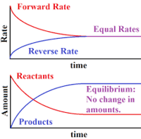 torque and equilibrium - Year 12 - Quizizz