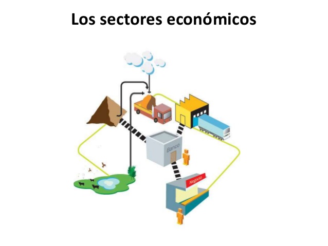 SECTORES ECONOMICOS=) | Social Studies - Quizizz