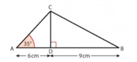 identitas trigonometri - Kelas 8 - Kuis