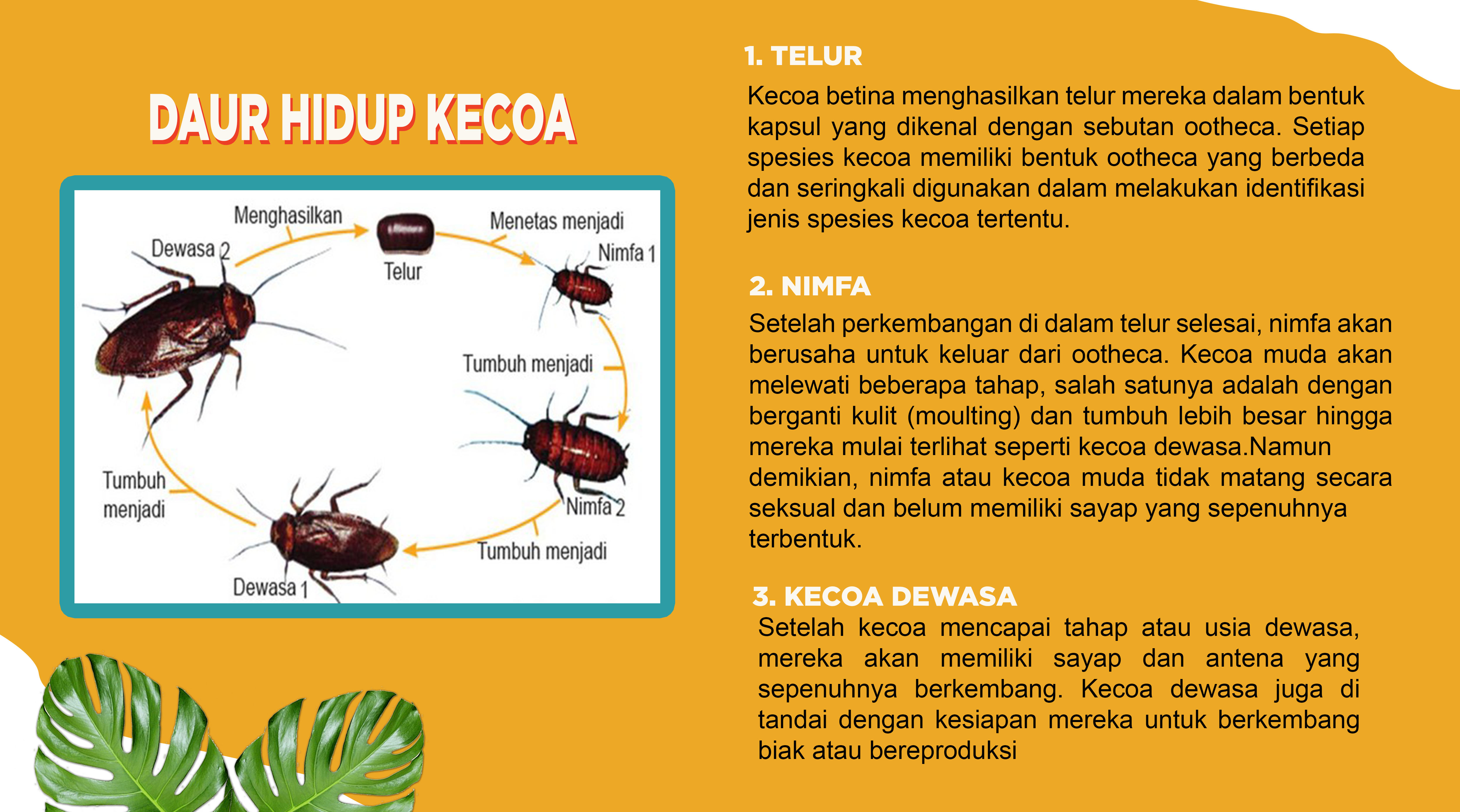 Siklus Hidup Makhluk Hidup | Science - Quizizz