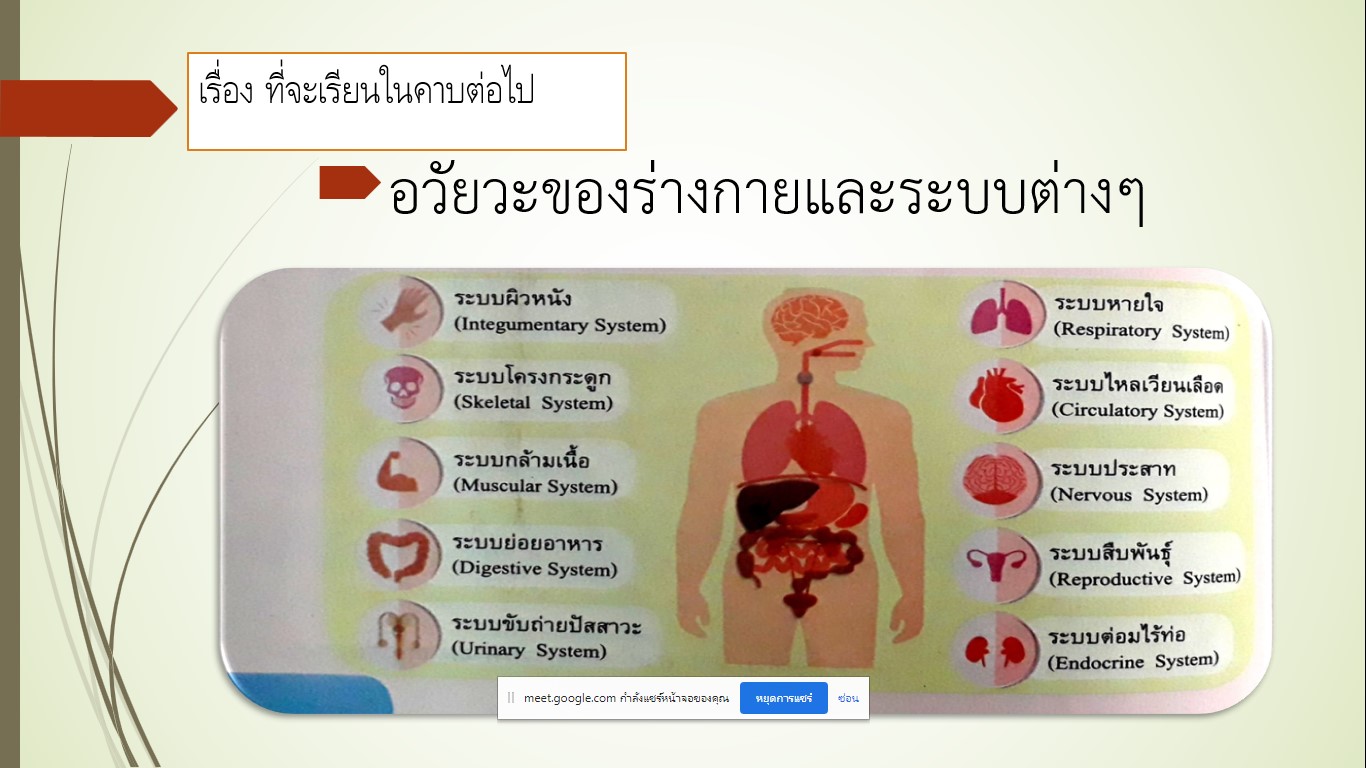 วัน สัปดาห์ และเดือนในปฏิทิน Flashcards - แบบทดสอบ