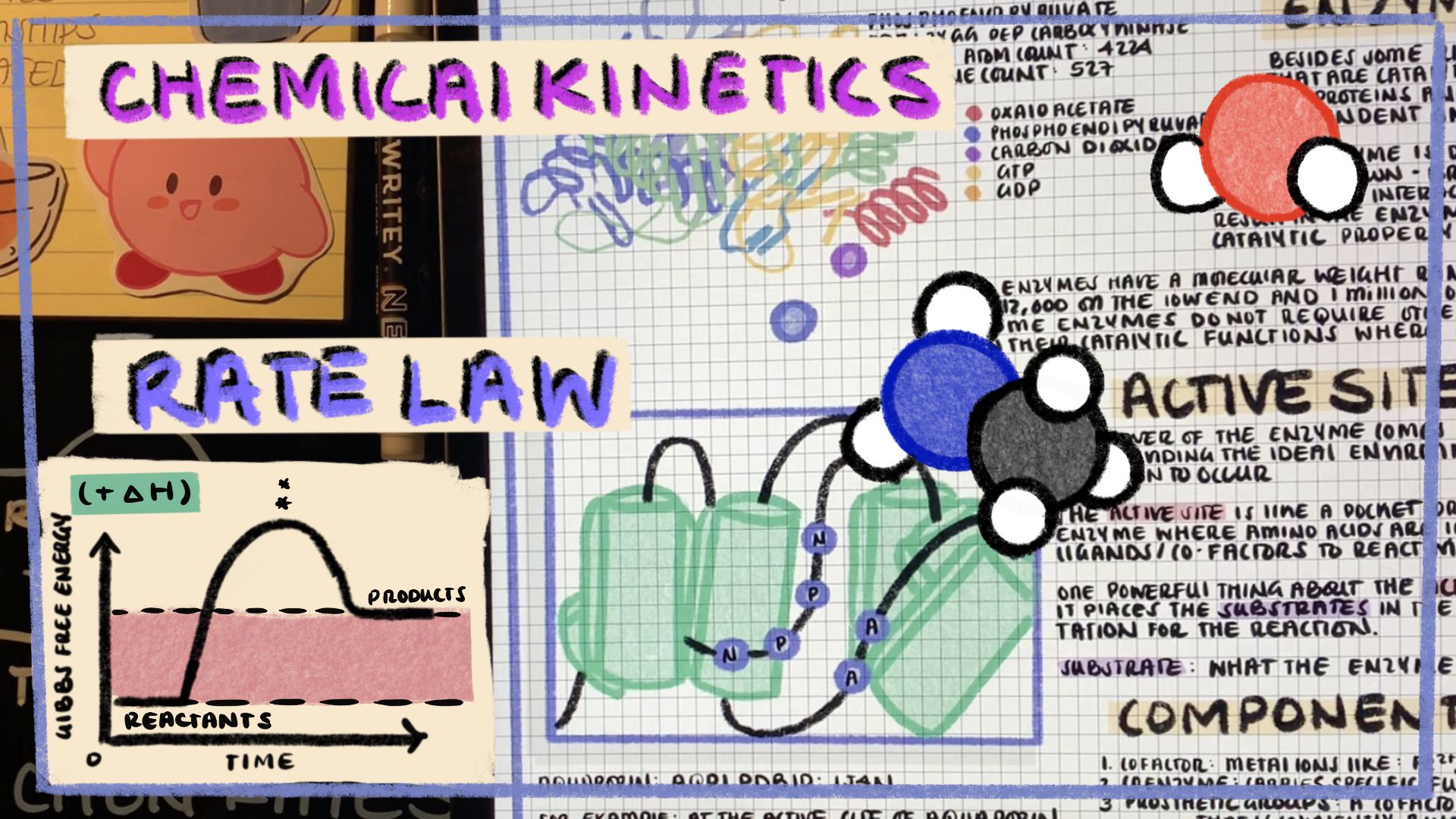 chemical equilibrium Flashcards - Quizizz