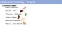 Terminología medica - Grado 10 - Quizizz