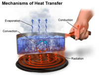 heat transfer and thermal equilibrium Flashcards - Quizizz